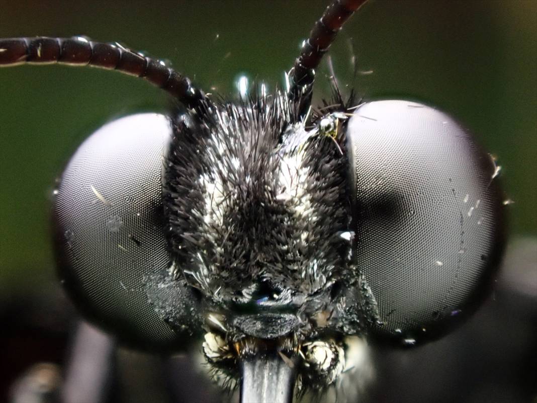 Konya’nın ünlü bahçesindeki detaylar tüyler ürpertti: İyi ki küçükler 8